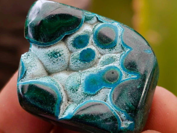 Polished Malacolla Free Forms x 35 From Kulukuluku, Congo