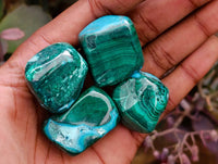 Polished Malacolla Free Forms x 35 From Kulukuluku, Congo