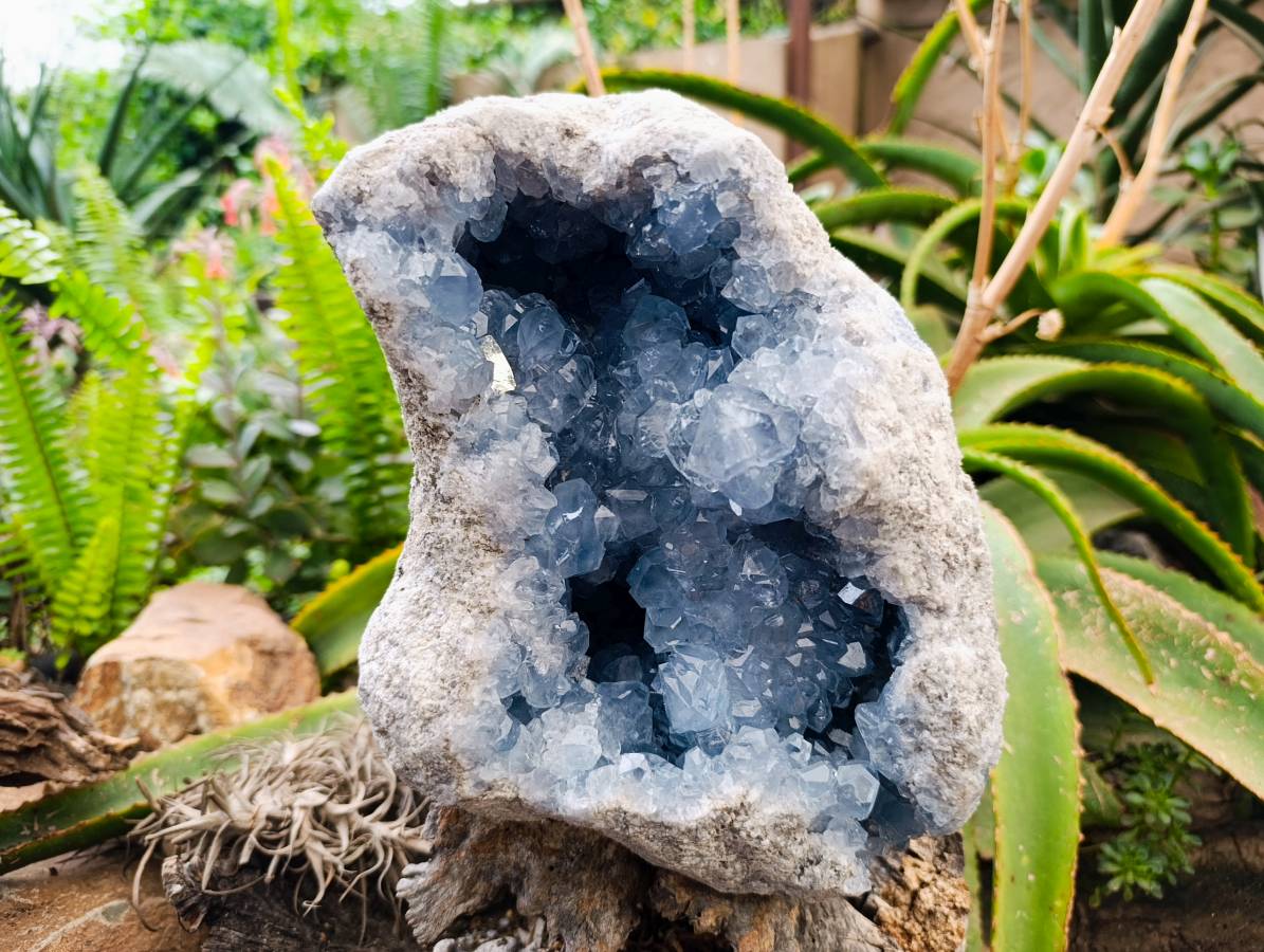 Natural XL Blue Celestite Geode Specimen x 1 From Sakoany, Madagascar - Toprock Gemstones and Minerals 