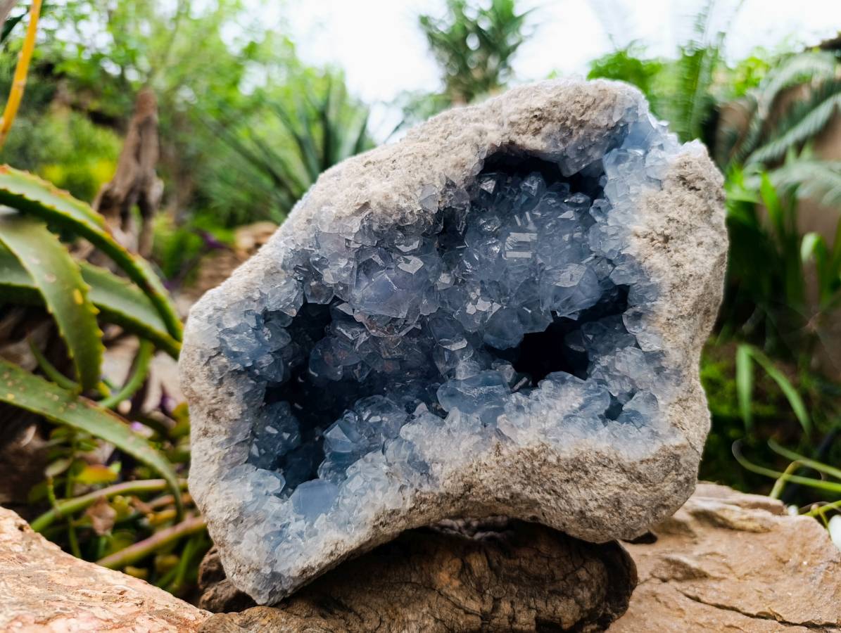 Natural XL Blue Celestite Geode Specimen x 1 From Sakoany, Madagascar - Toprock Gemstones and Minerals 