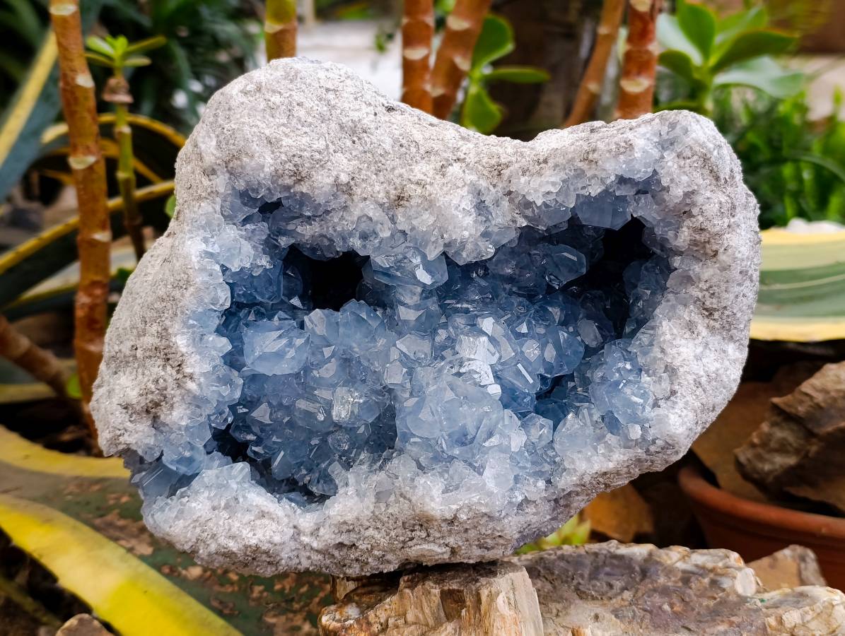 Natural XL Blue Celestite Geode Specimen x 1 From Sakoany, Madagascar - Toprock Gemstones and Minerals 