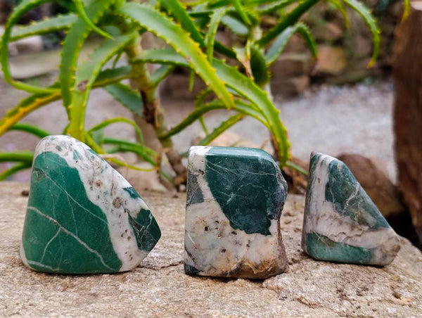 Polished Rare Chrysoprase Free Forms x 22 From Namibia