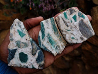 Polished Rare Chrysoprase Free Forms x 22 From Namibia