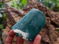 Polished Rare Chrysoprase Free Forms x 22 From Namibia