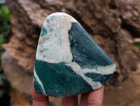 Polished Rare Chrysoprase Free Forms x 22 From Namibia