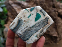 Polished Rare Chrysoprase Free Forms x 22 From Namibia