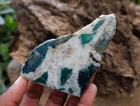 Polished Rare Chrysoprase Free Forms x 22 From Namibia