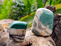 Polished Rare Chrysoprase Free Forms x 22 From Namibia