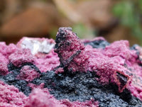 Natural Salrose Cobaltion Dolomite with Heterogenite Specimens x 3 From Kakanda, Congo