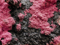 Natural Salrose Cobaltion Dolomite with Heterogenite Specimens x 3 From Kakanda, Congo
