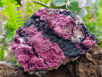 Natural Salrose Cobaltion Dolomite with Heterogenite Specimens x 3 From Kakanda, Congo