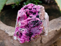 Natural Salrose Cobaltion Dolomite with Heterogenite Specimens x 3 From Kakanda, Congo