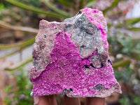 Natural Salrose Cobaltion Dolomite with Heterogenite Specimens x 3 From Kakanda, Congo