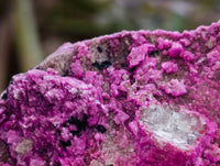 Natural Salrose Cobaltion Dolomite with Heterogenite Specimens x 3 From Kakanda, Congo