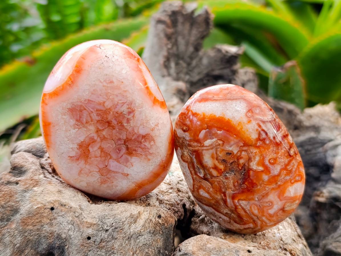 Polished Carnelian Agate Gemstone Galets x 20 From Madagascar - Toprock Gemstones and Minerals 