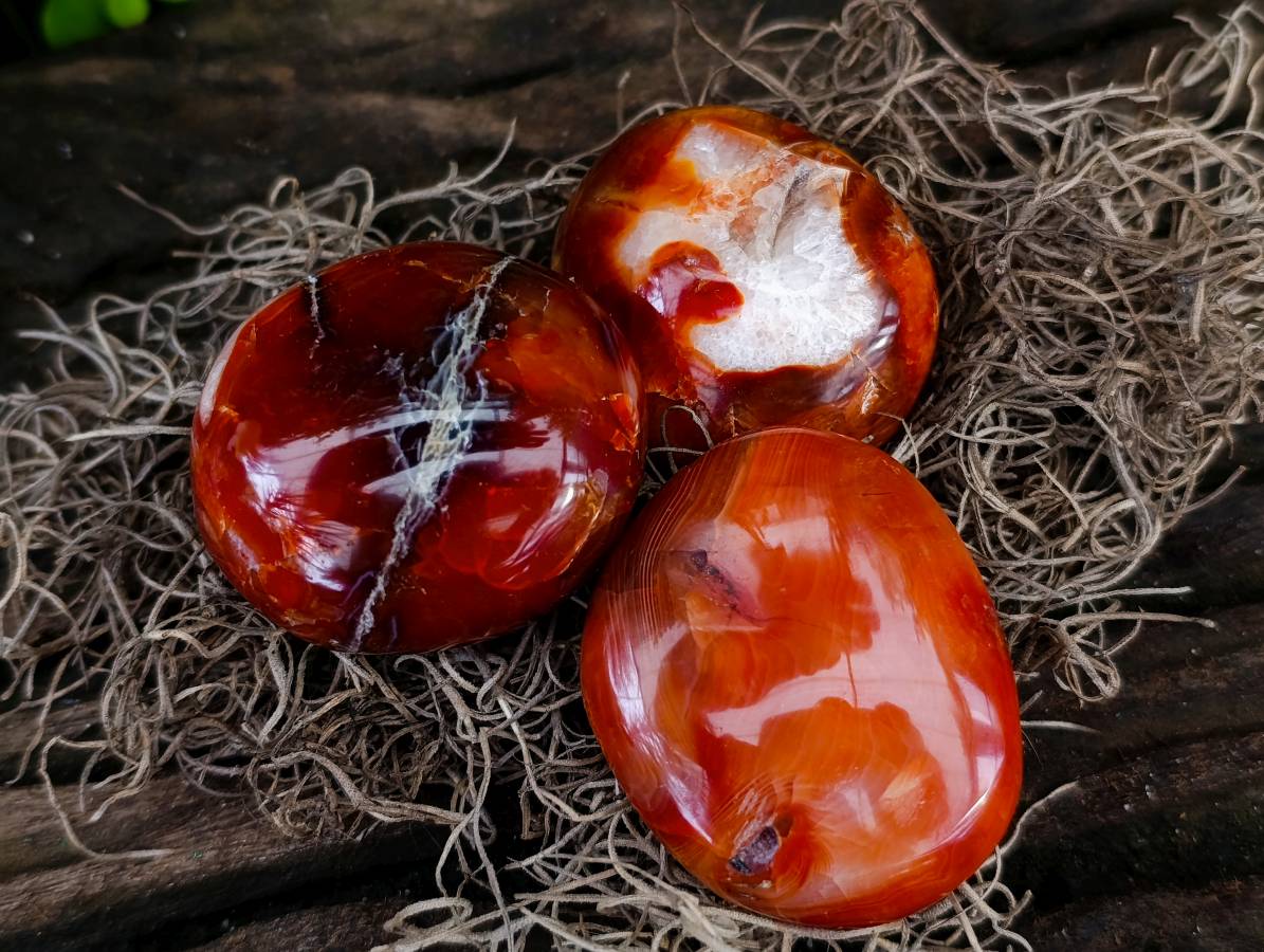 Polished Carnelian Agate Gemstone Galets x 20 From Madagascar - Toprock Gemstones and Minerals 