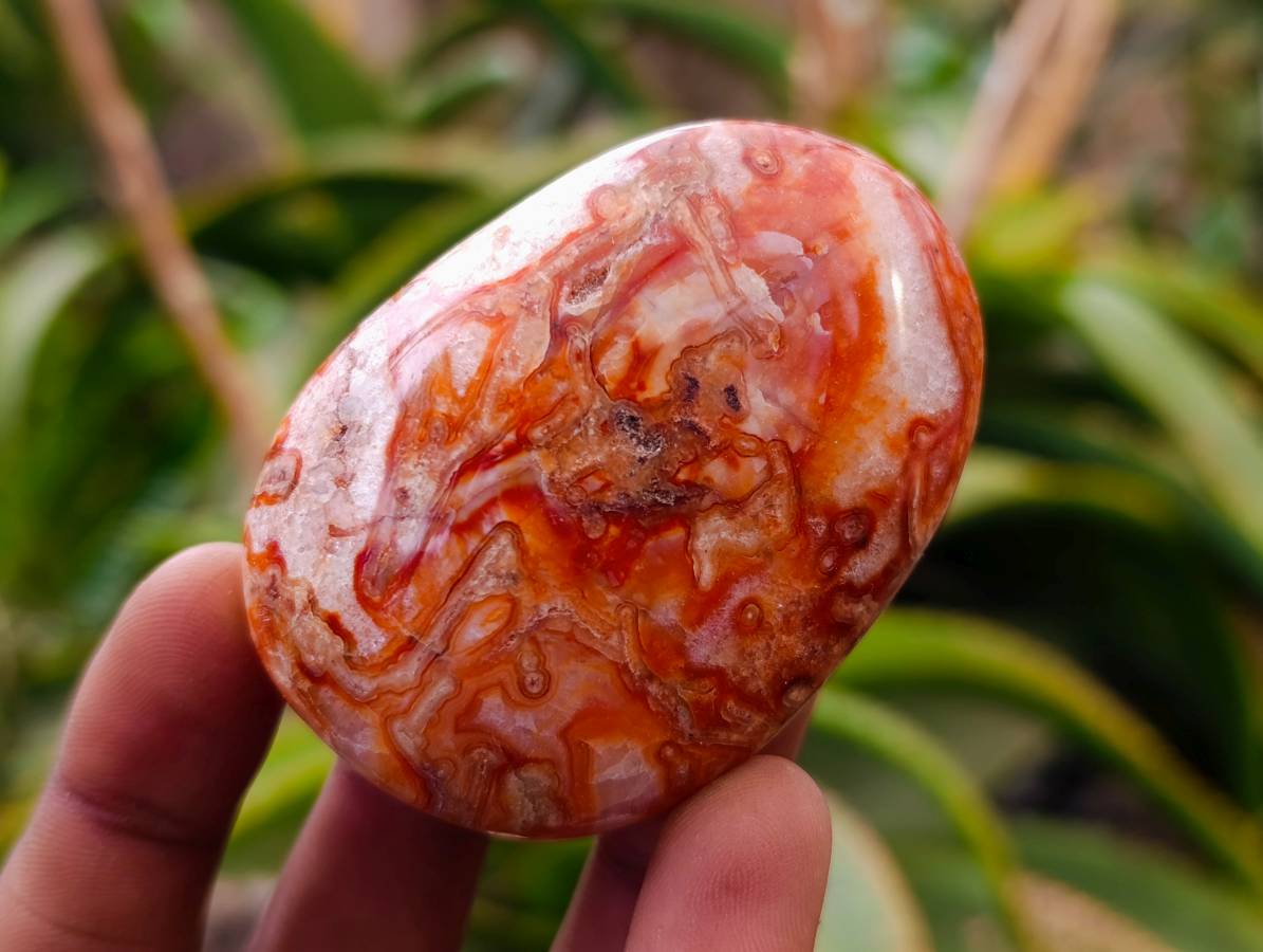 Polished Carnelian Agate Gemstone Galets x 20 From Madagascar - Toprock Gemstones and Minerals 