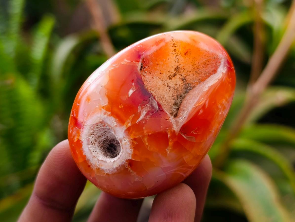 Polished Carnelian Agate Gemstone Galets x 20 From Madagascar - Toprock Gemstones and Minerals 