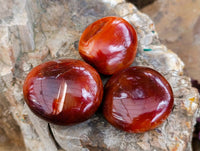Polished Carnelian Agate Gemstone Galets x 20 From Madagascar