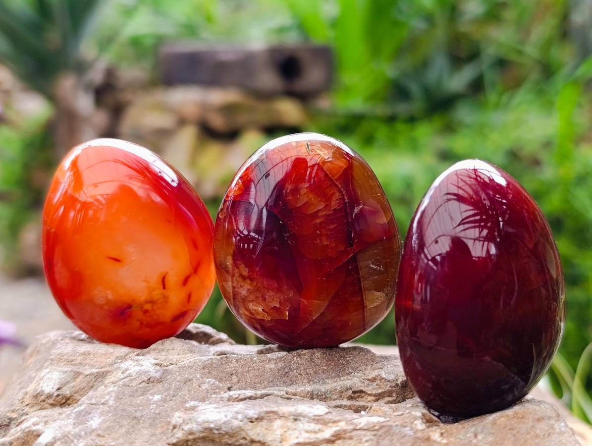 Polished Carnelian Agate Gemstone Galets x 20 From Madagascar - Toprock Gemstones and Minerals 