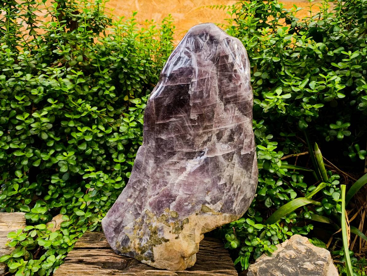 Polished XXLRare Angelite Anhydrite One Side Polished x 1 Tulear, Madagascar - Toprock Gemstones and Minerals 