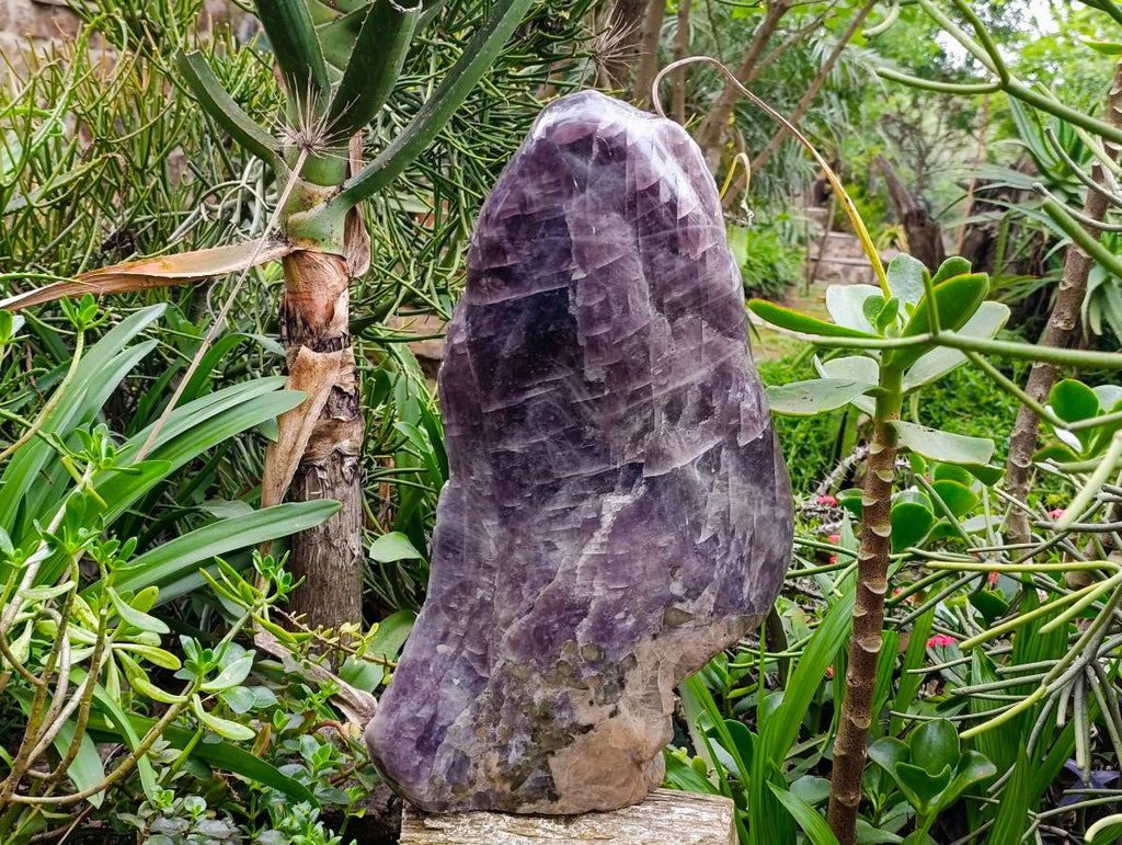 Polished XXLRare Angelite Anhydrite One Side Polished x 1 Tulear, Madagascar - Toprock Gemstones and Minerals 