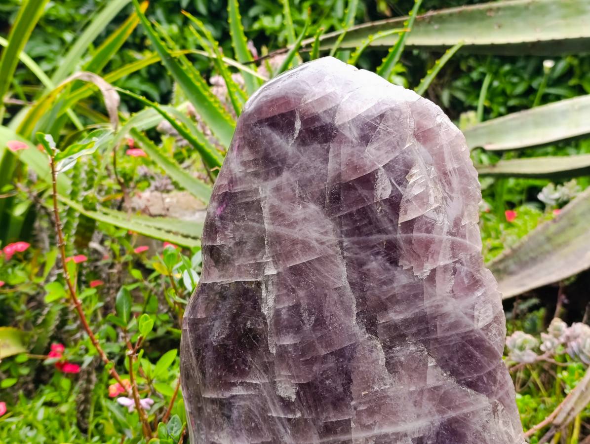 Polished XXLRare Angelite Anhydrite One Side Polished x 1 Tulear, Madagascar - Toprock Gemstones and Minerals 