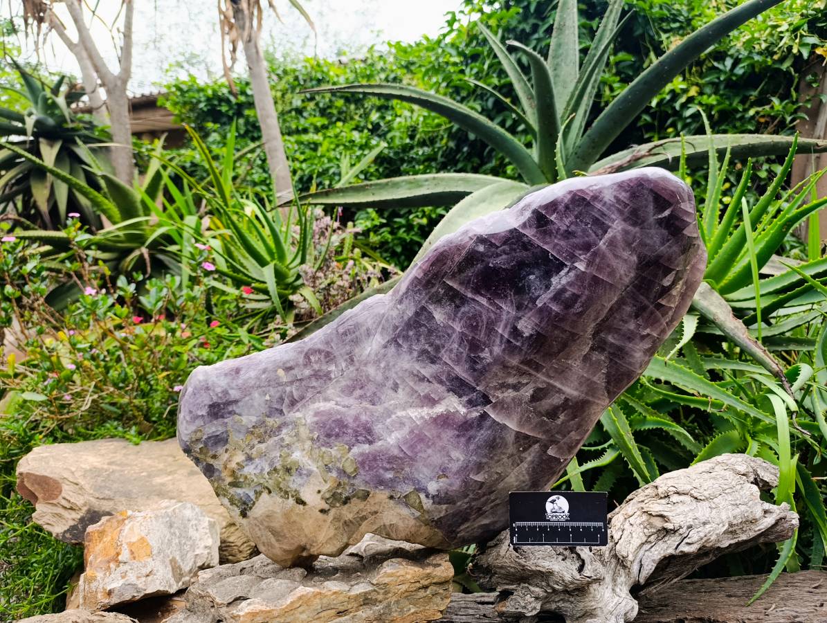 Polished XXLRare Angelite Anhydrite One Side Polished x 1 Tulear, Madagascar - Toprock Gemstones and Minerals 