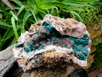 Natural Drusy Ball Malachite On Quartz In Dolomite Matrix Specimen x 1 From Mindingi Mine, Kambove, Congo