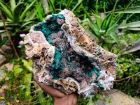 Natural Drusy Ball Malachite On Quartz In Dolomite Matrix Specimen x 1 From Mindingi Mine, Kambove, Congo
