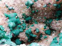Natural Drusy Ball Malachite On Quartz In Dolomite Matrix Specimen x 1 From Mindingi Mine, Kambove, Congo