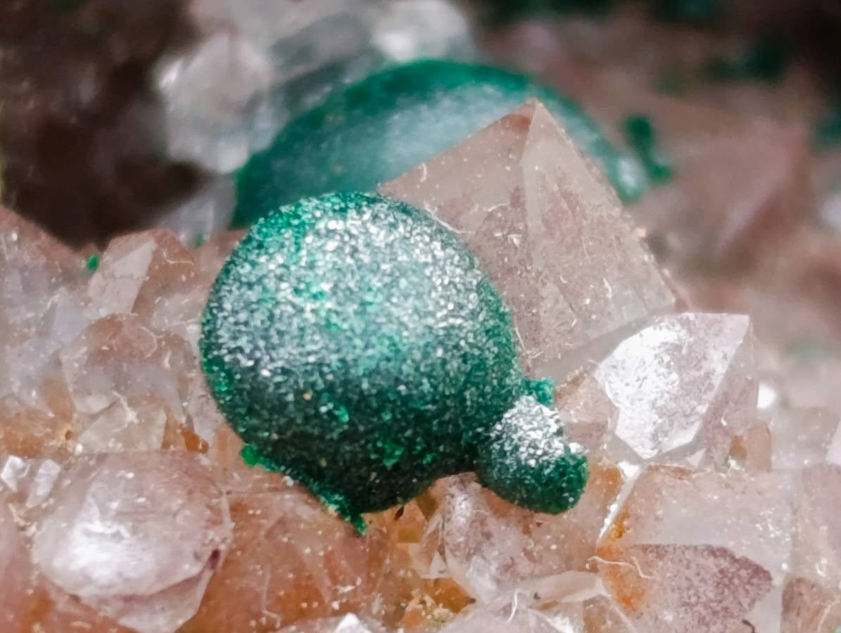 Natural Drusy Ball Malachite On Quartz In Dolomite Matrix Specimen x 1 From Mindingi Mine, Kambove, Congo - Toprock Gemstones and Minerals 