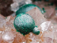 Natural Drusy Ball Malachite On Quartz In Dolomite Matrix Specimen x 1 From Mindingi Mine, Kambove, Congo