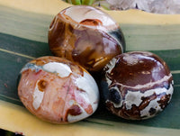 Polished Polychrome Jasper Galets x 24 From NW Coast, Madagascar