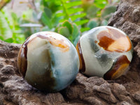 Polished Polychrome Jasper Galets x 24 From NW Coast, Madagascar