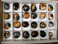 Polished Polychrome Jasper Galets x 24 From NW Coast, Madagascar