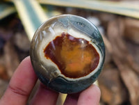 Polished Polychrome Jasper Galets x 24 From NW Coast, Madagascar