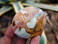 Polished Polychrome Jasper Galets x 24 From NW Coast, Madagascar