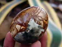 Polished Polychrome Jasper Galets x 24 From NW Coast, Madagascar