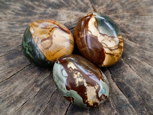 Polished Polychrome Jasper Galets x 24 From NW Coast, Madagascar