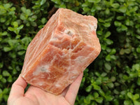 Natural Large Sunset Orange Calcite Specimen x 1 From Spitzkop, Namibia