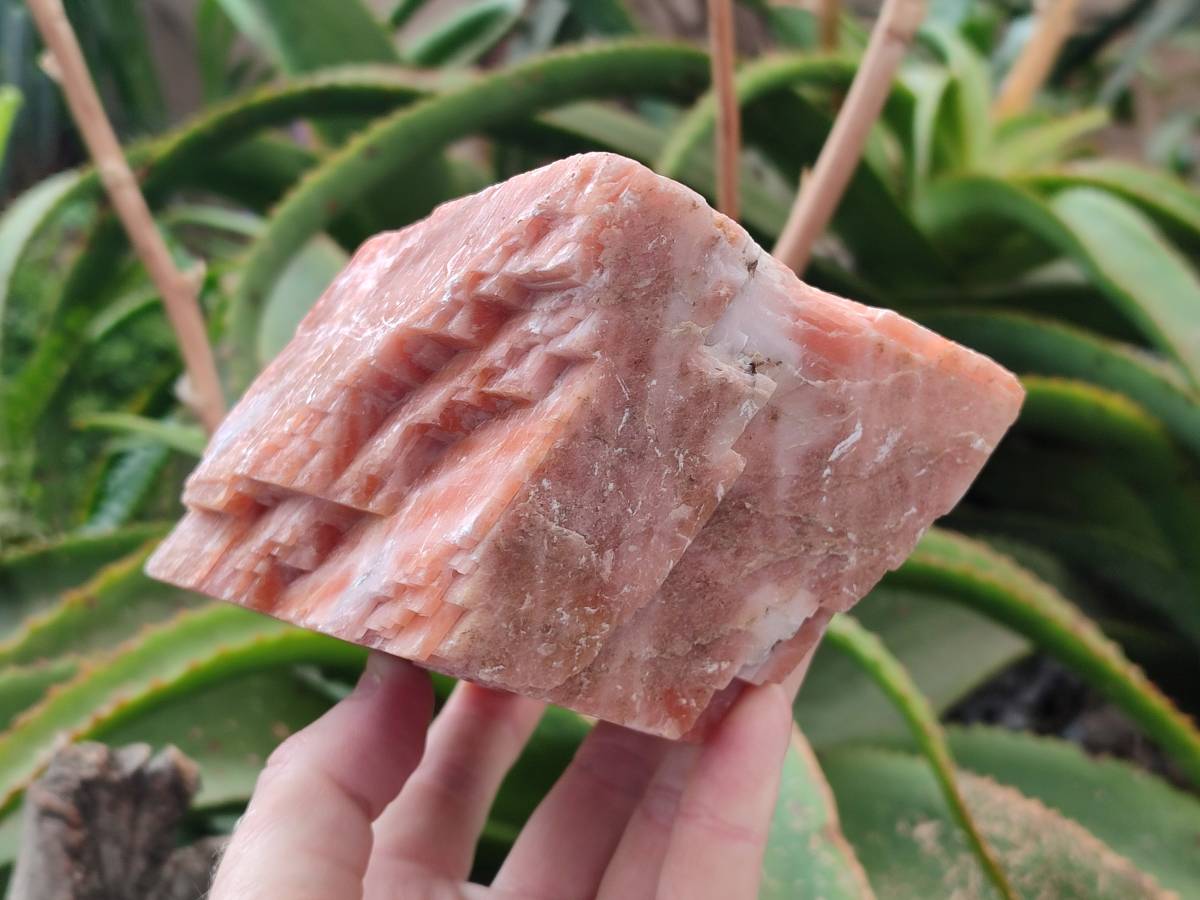 Natural Large Sunset Orange Calcite Specimen x 1 From Spitzkop, Namibia - Toprock Gemstones and Minerals 