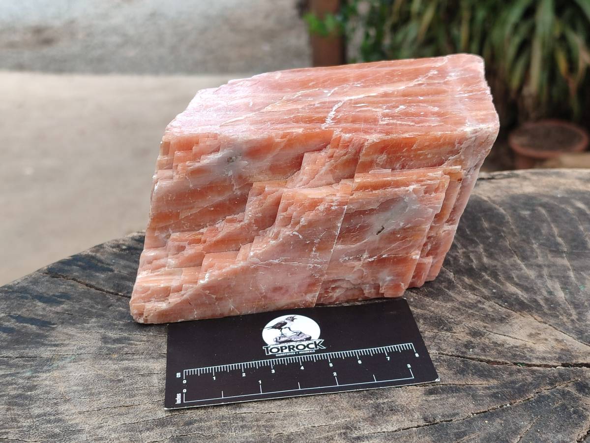 Natural Large Sunset Orange Calcite Specimen x 1 From Spitzkop, Namibia - Toprock Gemstones and Minerals 