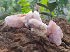 Natural Amethyst Spirit Quartz Clusters x 12 From Boekenhouthoek, South Africa - Toprock Gemstones and Minerals 