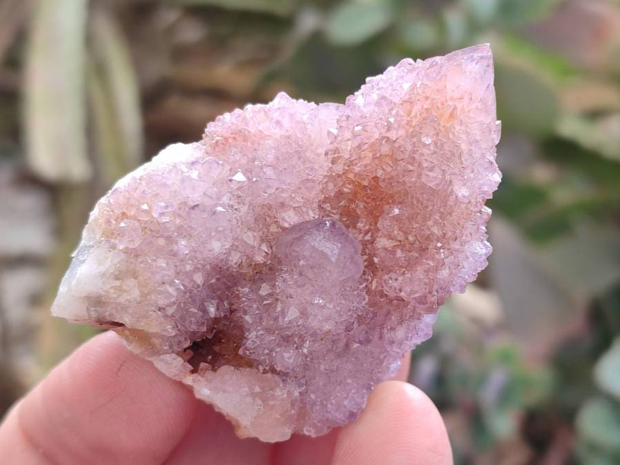 Natural Amethyst Spirit Quartz Clusters x 12 From Boekenhouthoek, South Africa - Toprock Gemstones and Minerals 