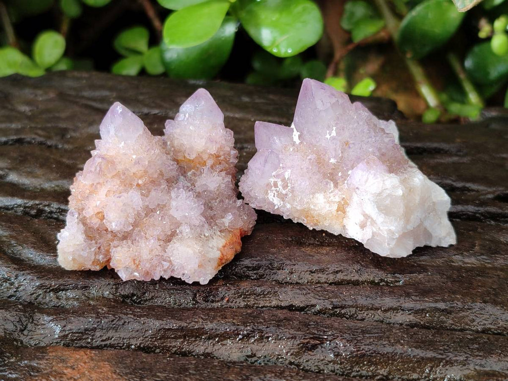 Natural Amethyst Spirit Quartz Clusters x 12 From Boekenhouthoek, South Africa - Toprock Gemstones and Minerals 