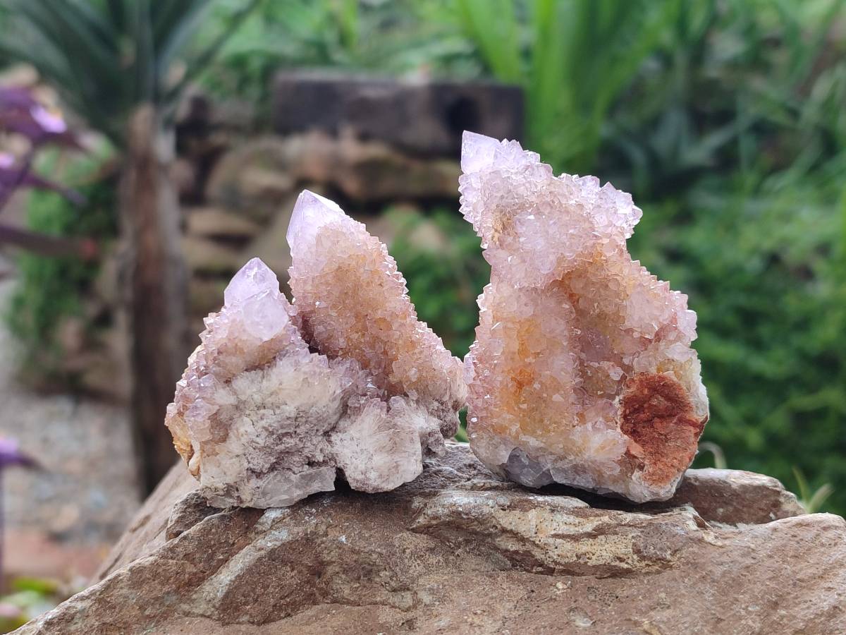 Natural Amethyst Spirit Quartz Clusters x 12 From Boekenhouthoek, South Africa - Toprock Gemstones and Minerals 