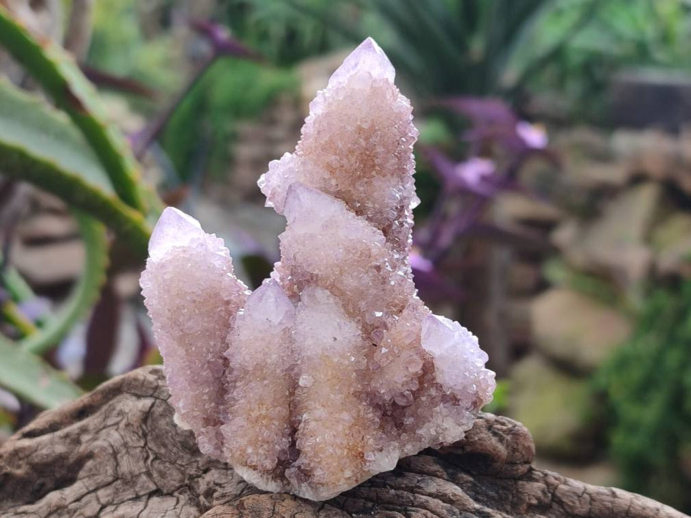 Natural Amethyst Spirit Quartz Clusters x 12 From Boekenhouthoek, South Africa - Toprock Gemstones and Minerals 