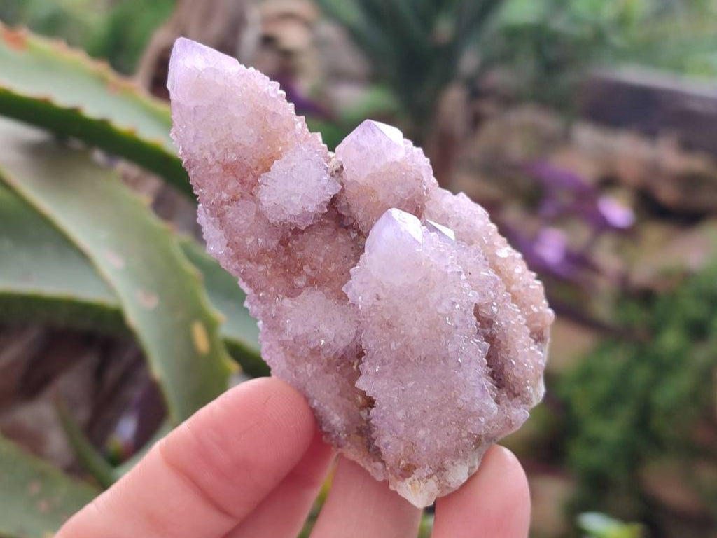 Natural Amethyst Spirit Quartz Clusters x 12 From Boekenhouthoek, South Africa - Toprock Gemstones and Minerals 