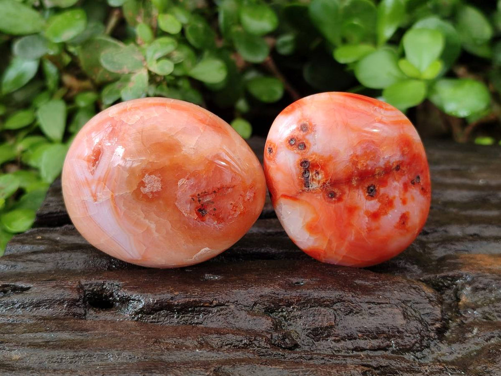 Polished Carnelian Agate Gemstone Galets x 20 From Madagascar - Toprock Gemstones and Minerals 
